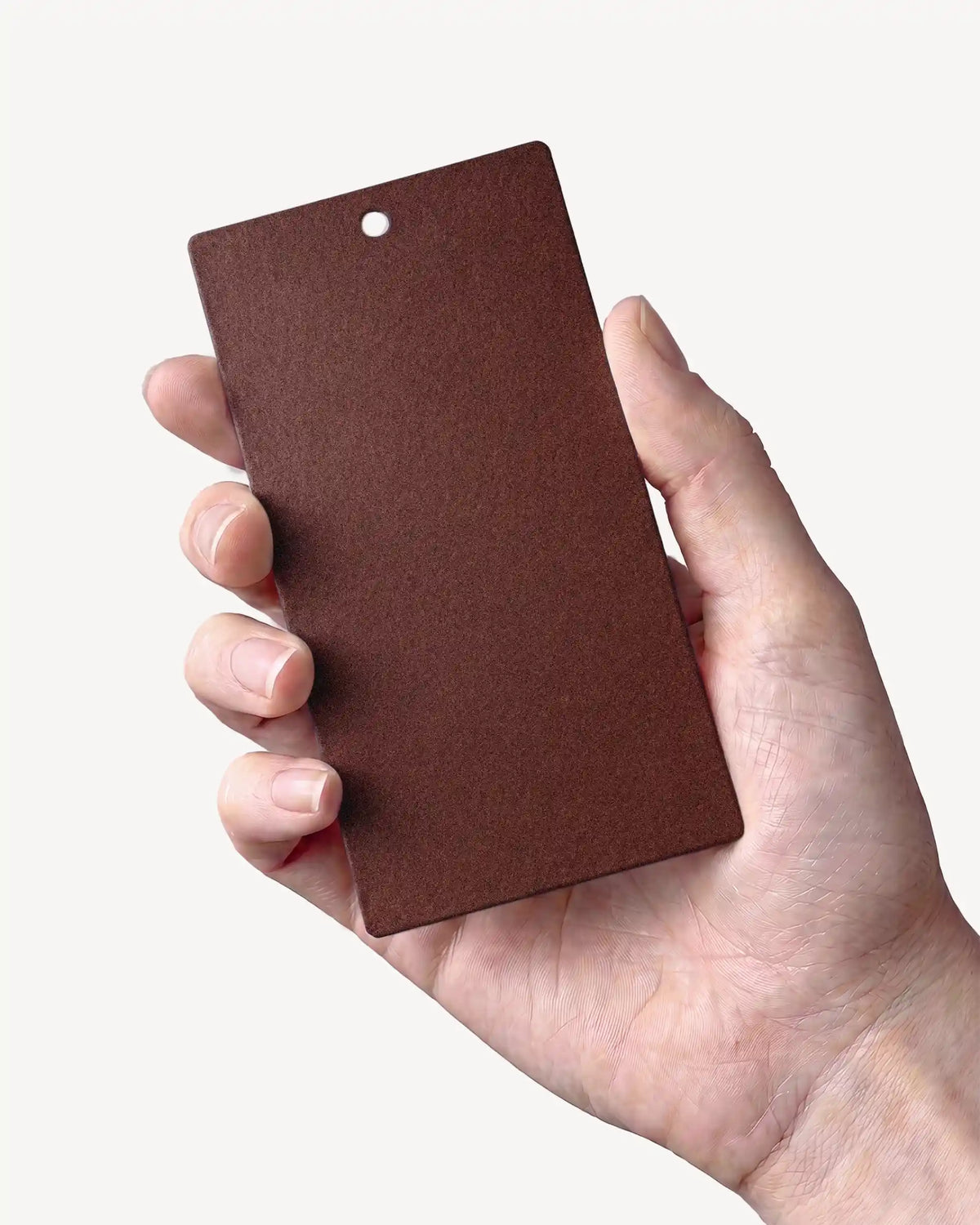 Mano che tiene un campione del colore Marrone ruggine PILOTIS