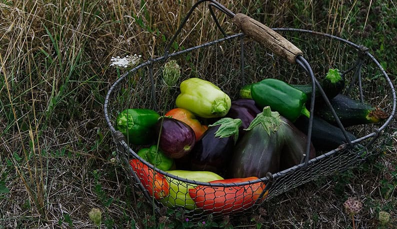 Verdure
