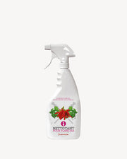 Spray detergente per griglia in acciaio inox