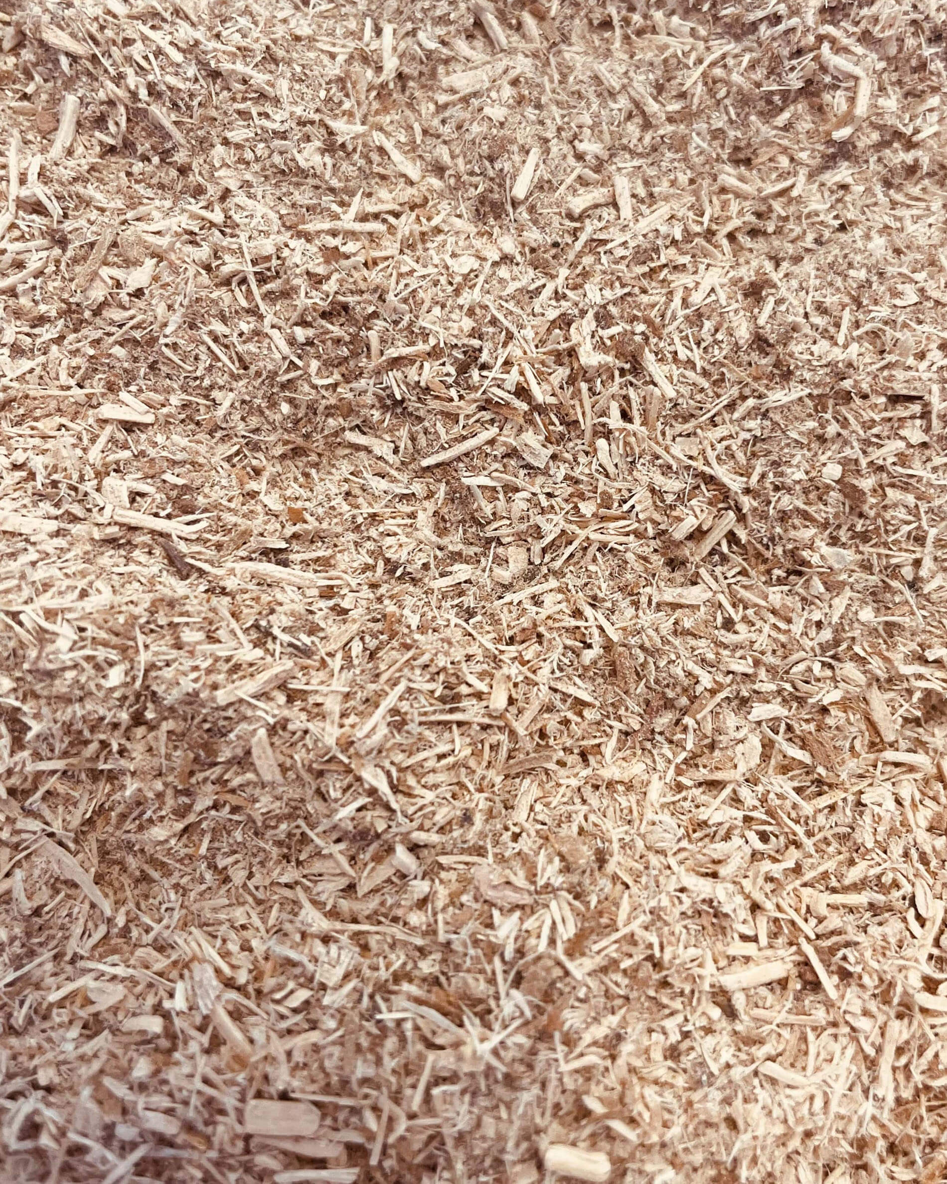 Trucioli di legno per affumicatura a freddo