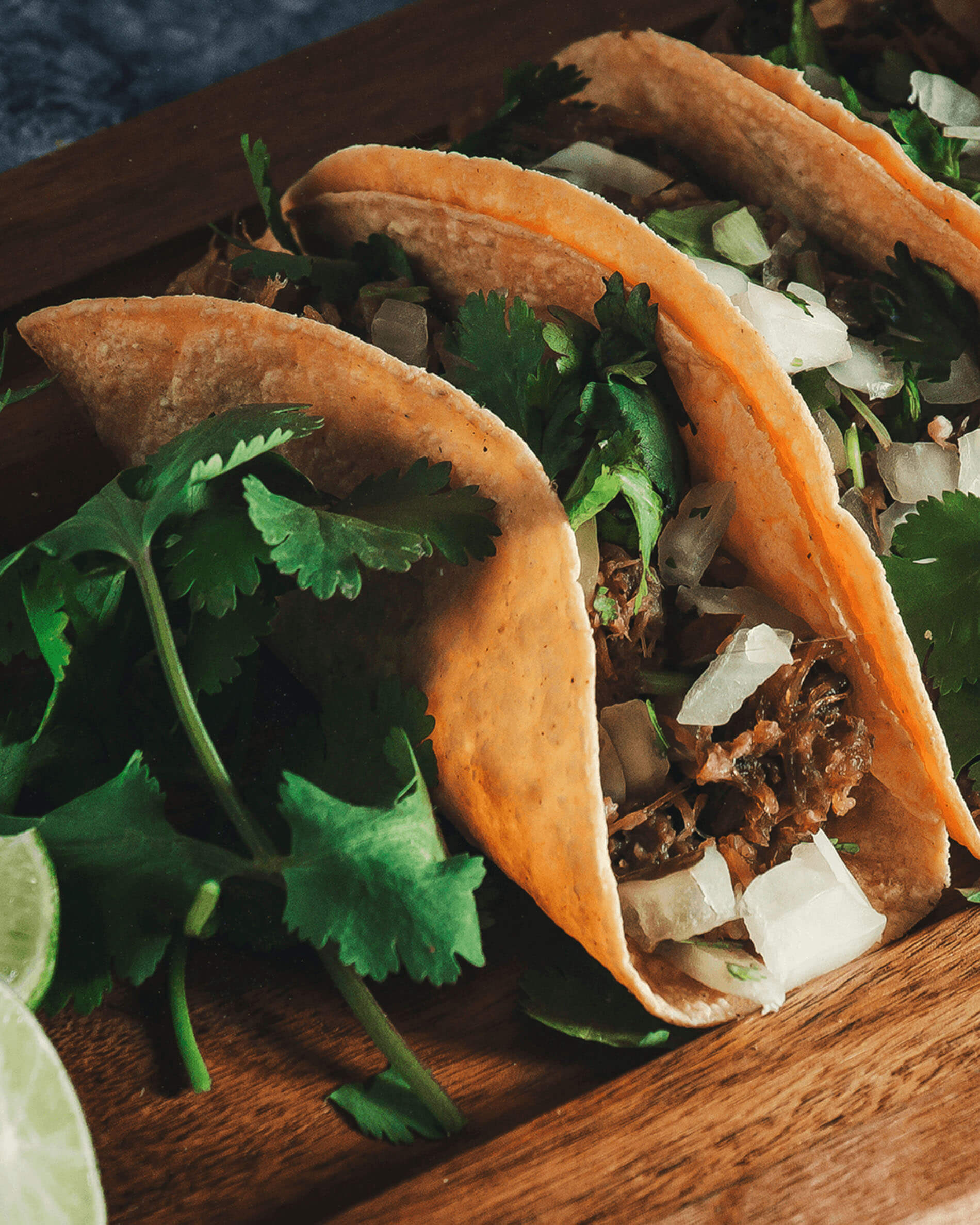 Tacos su supporto per tacos in acciaio inox